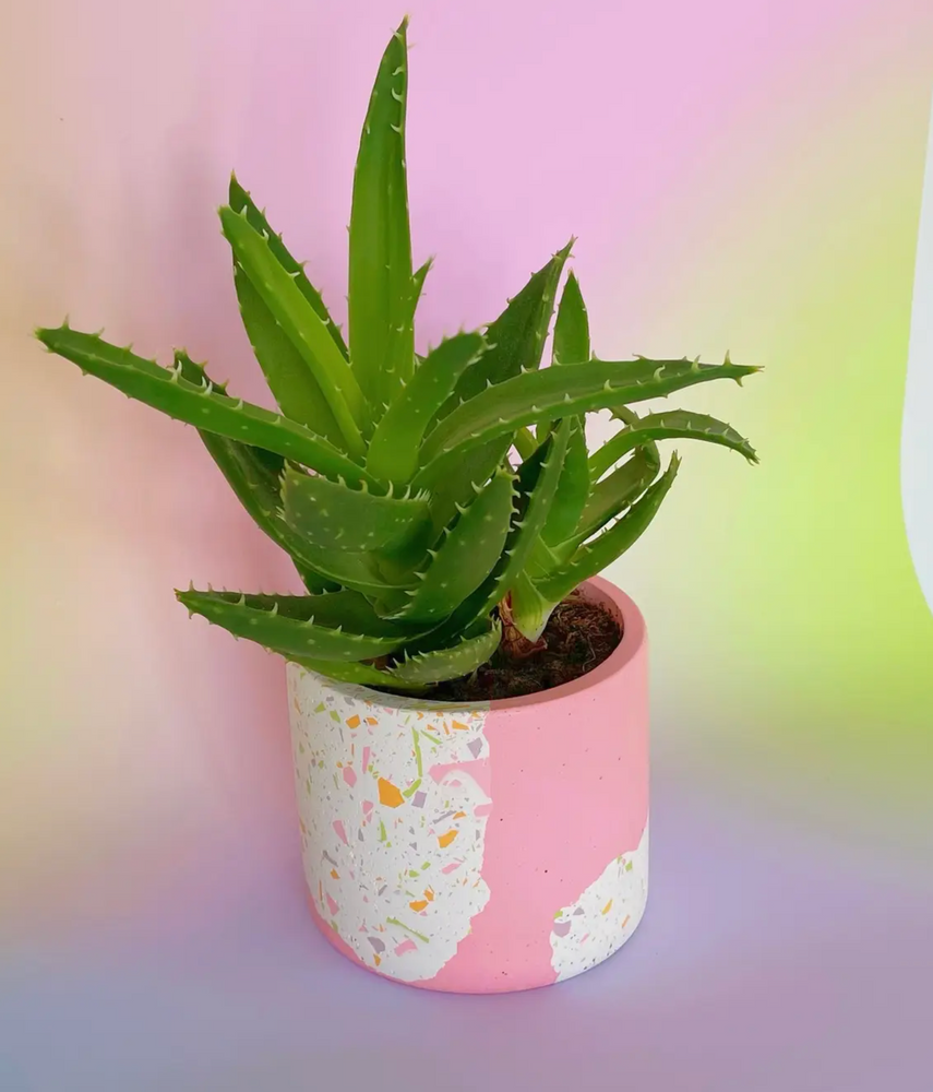 Terrazzo Pot - Medium