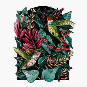 
            
                Load image into Gallery viewer, Ruby-Throated Hummingbirds and Mamou Plant Art Print 8x10
            
        