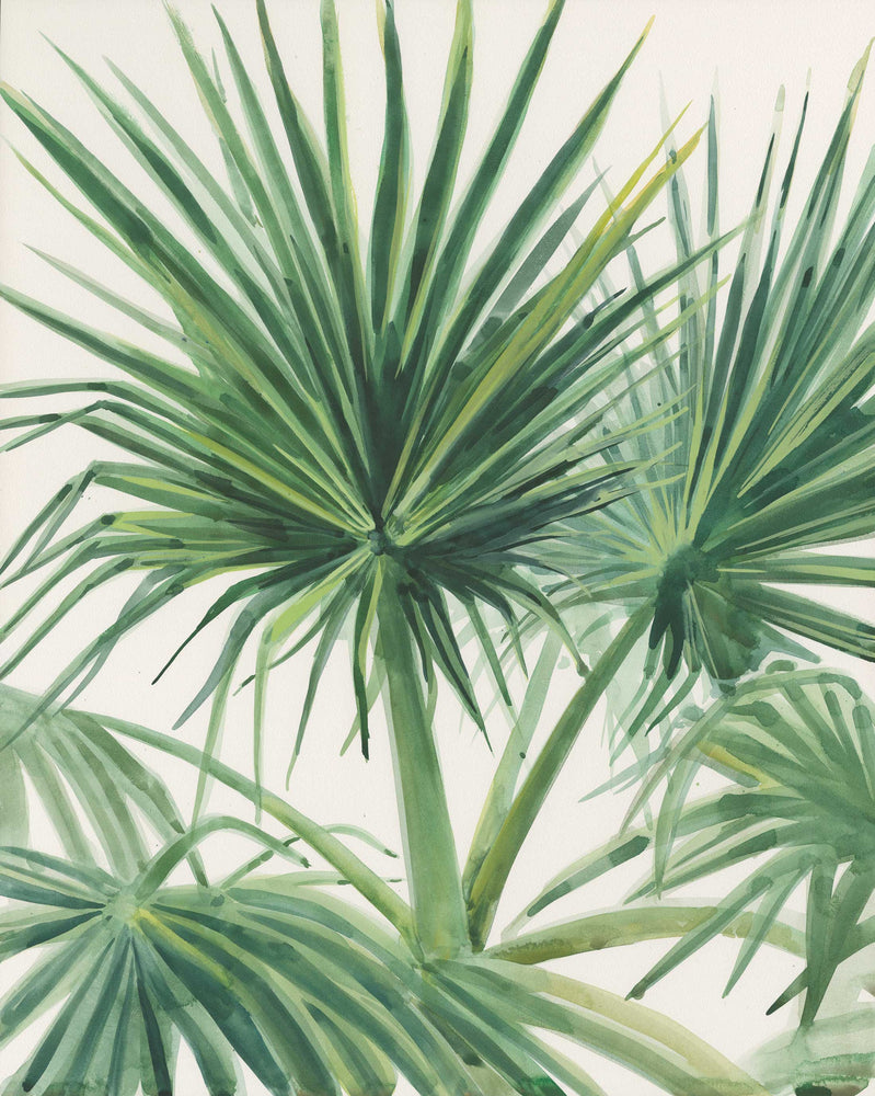 "Palmettos" Watercolor Fine Art Print