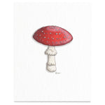 Amanita Muscaria Print