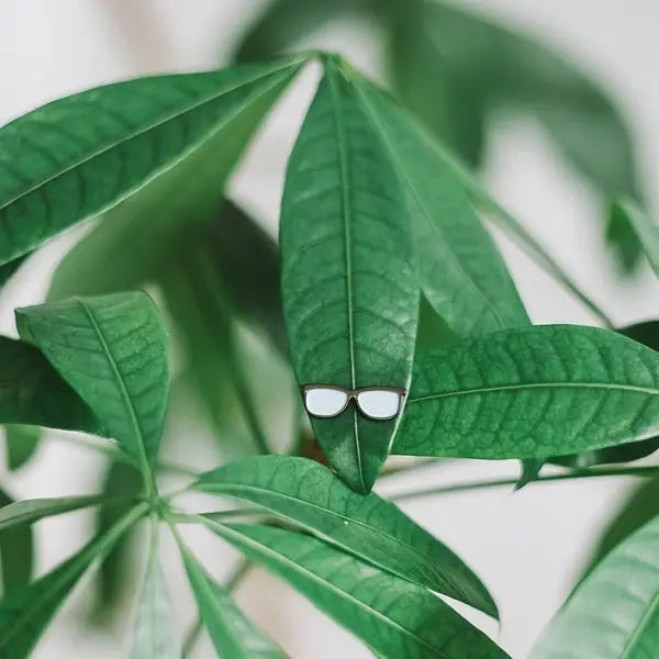 RGB Plant Sunnies