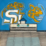 Southern Football Portrait